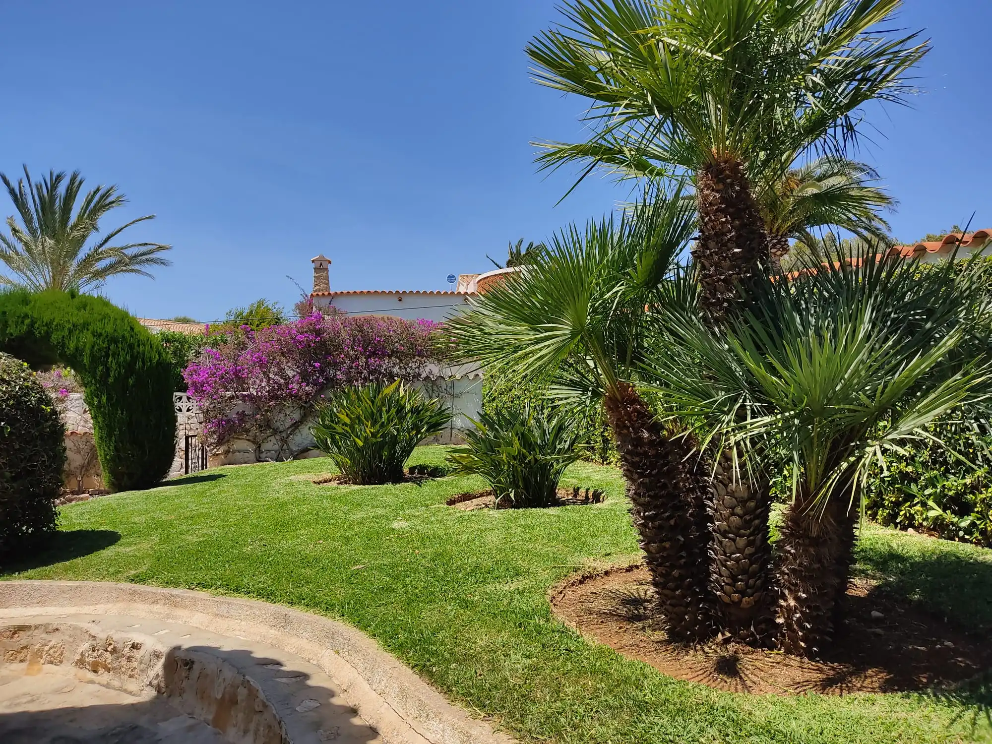 Mantenimiento de jardines en Jávea