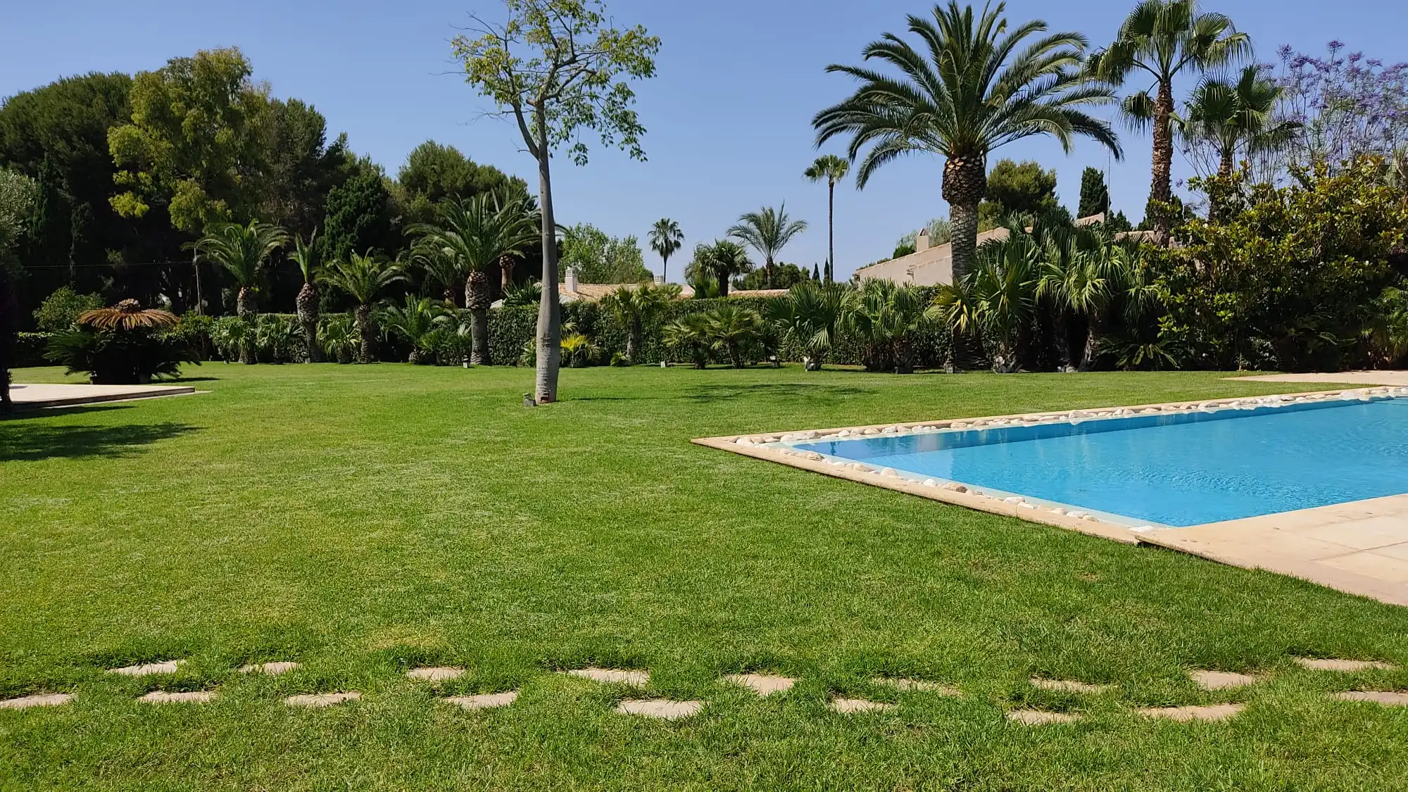 Piscina y jardín limpios
